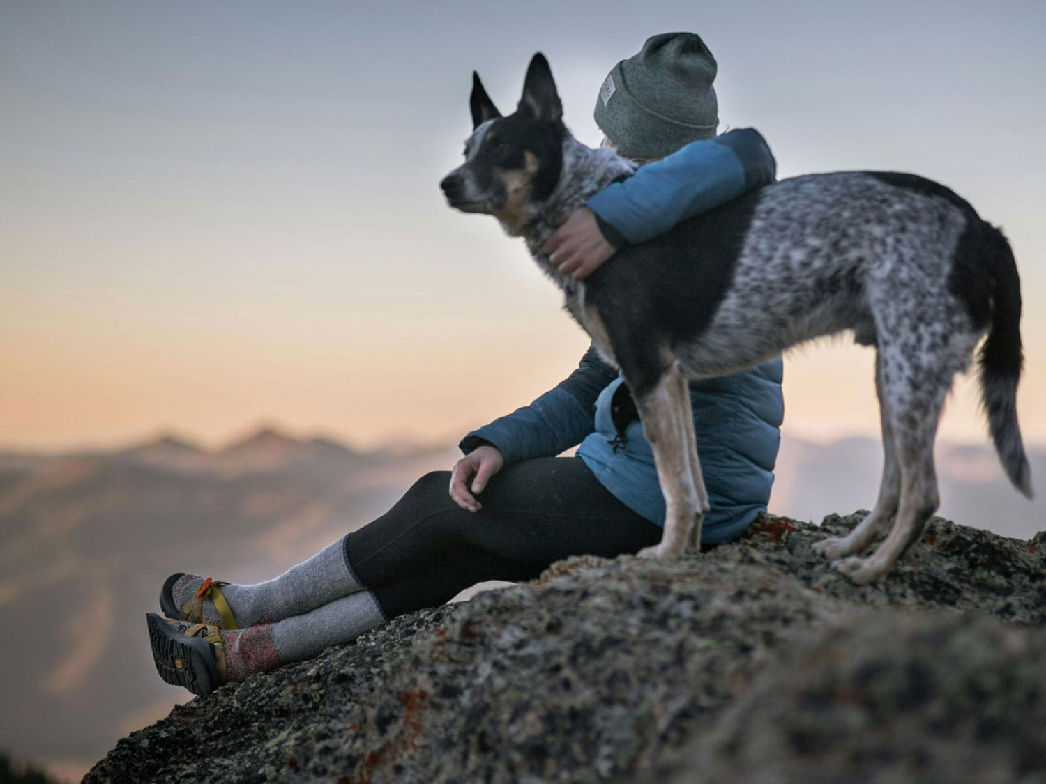 The Vet 2 Go - Mobile Vet & Home Euthanasia in Barnsley | The Vet 2 Go - Barnsley, Royston, Darton, Hoyland, Mapplewell, Ardsley, Penistone, Sheffield, Castleford, Wakefield, Durkar, Ossett, Sandal, Horbury, Normanton, Pontefract, Castleford and more