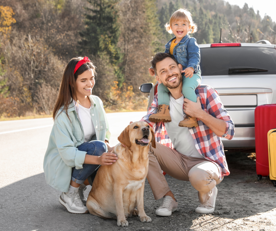 The Vet 2 Go - Mobile Vet & Home Euthanasia in Barnsley | The Vet 2 Go - Barnsley, Royston, Darton, Hoyland, Mapplewell, Ardsley, Penistone, Sheffield, Castleford, Wakefield, Durkar, Ossett, Sandal, Horbury, Normanton, Pontefract, Castleford and more