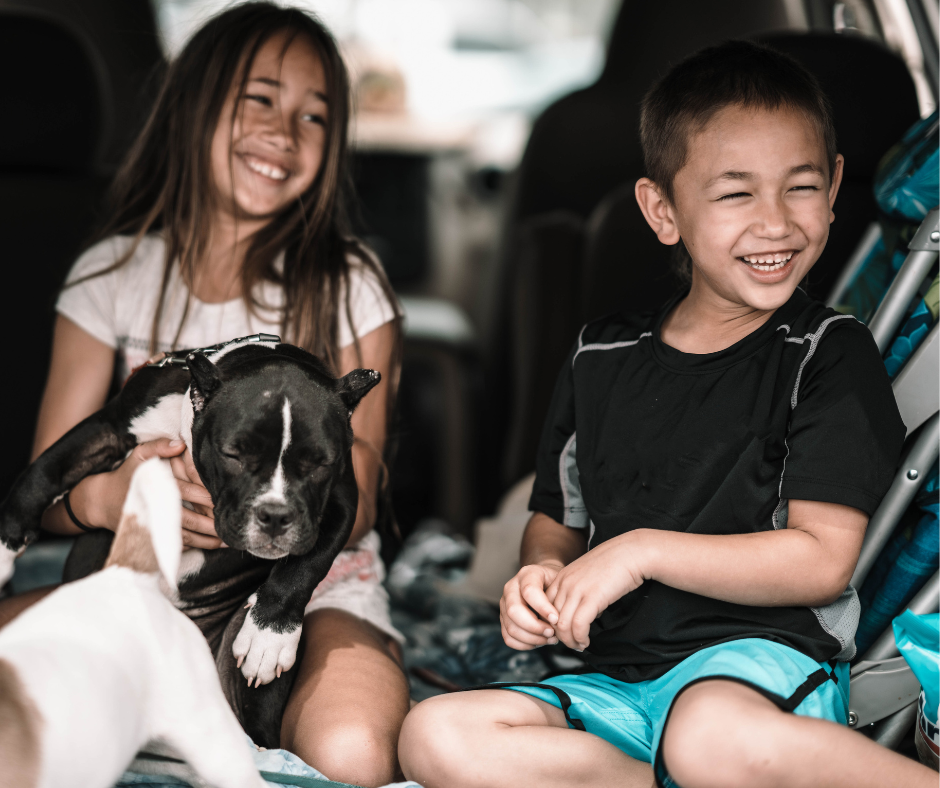 The Vet 2 Go - Mobile Vet & Home Euthanasia in Barnsley | The Vet 2 Go - Barnsley, Royston, Darton, Hoyland, Mapplewell, Ardsley, Penistone, Sheffield, Castleford, Wakefield, Durkar, Ossett, Sandal, Horbury, Normanton, Pontefract, Castleford and more