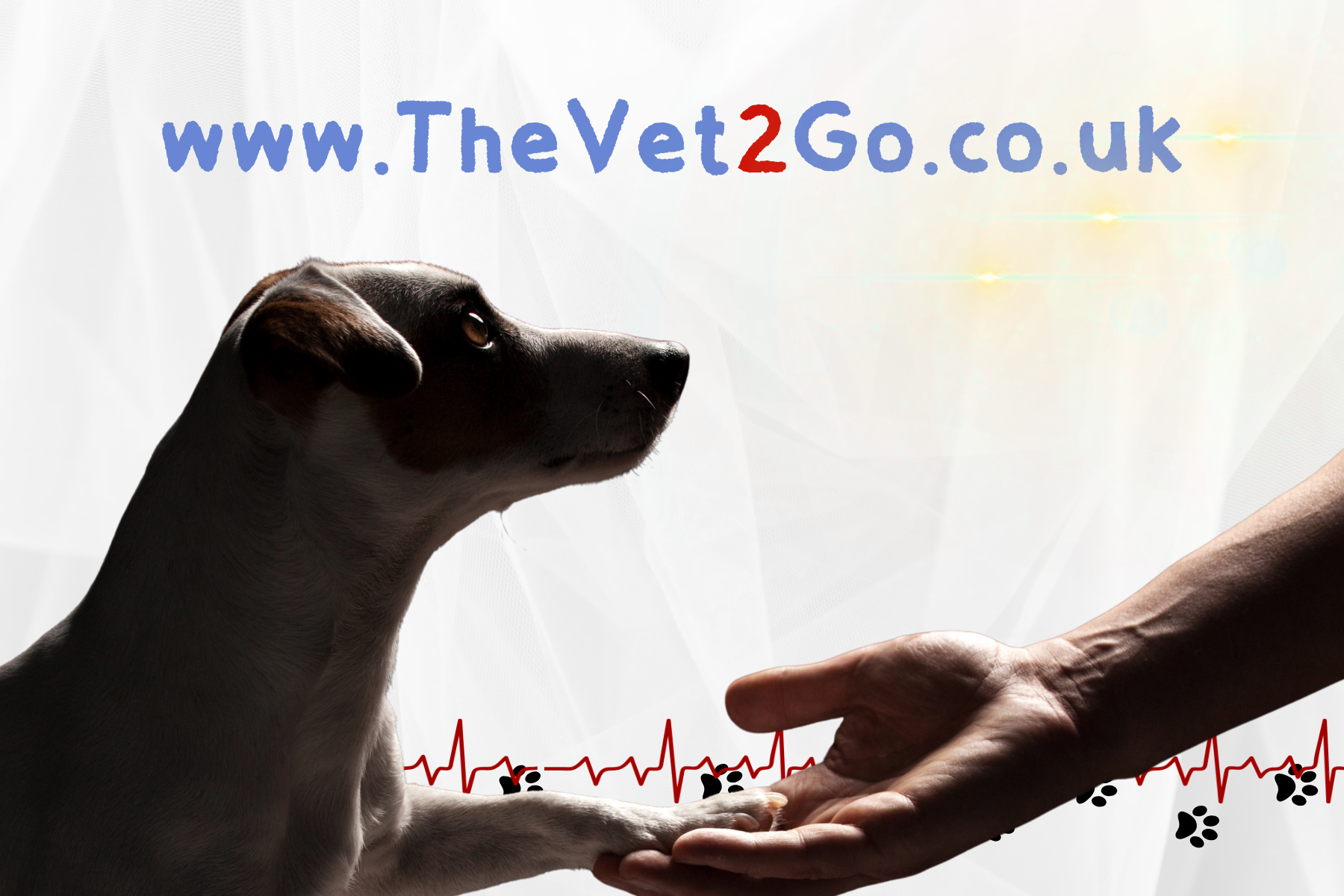 Downloadable Documents and Pet Bereavement Resources