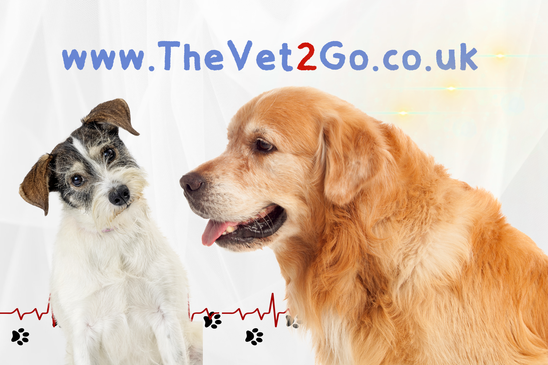 The Vet 2 Go - Mobile Vet & Home Euthanasia in Barnsley | The Vet 2 Go - Barnsley, Royston, Darton, Hoyland, Mapplewell, Ardsley, Penistone, Sheffield, Castleford, Wakefield, Durkar, Ossett, Sandal, Horbury, Normanton, Pontefract, Castleford and more