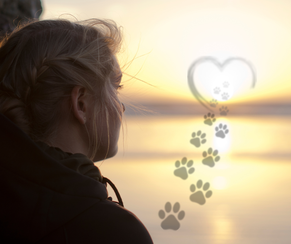 The Vet 2 Go - Mobile Vet & Home Euthanasia in Barnsley | The Vet 2 Go - Barnsley, Royston, Darton, Hoyland, Mapplewell, Ardsley, Penistone, Sheffield, Castleford, Wakefield, Durkar, Ossett, Sandal, Horbury, Normanton, Pontefract, Castleford and more