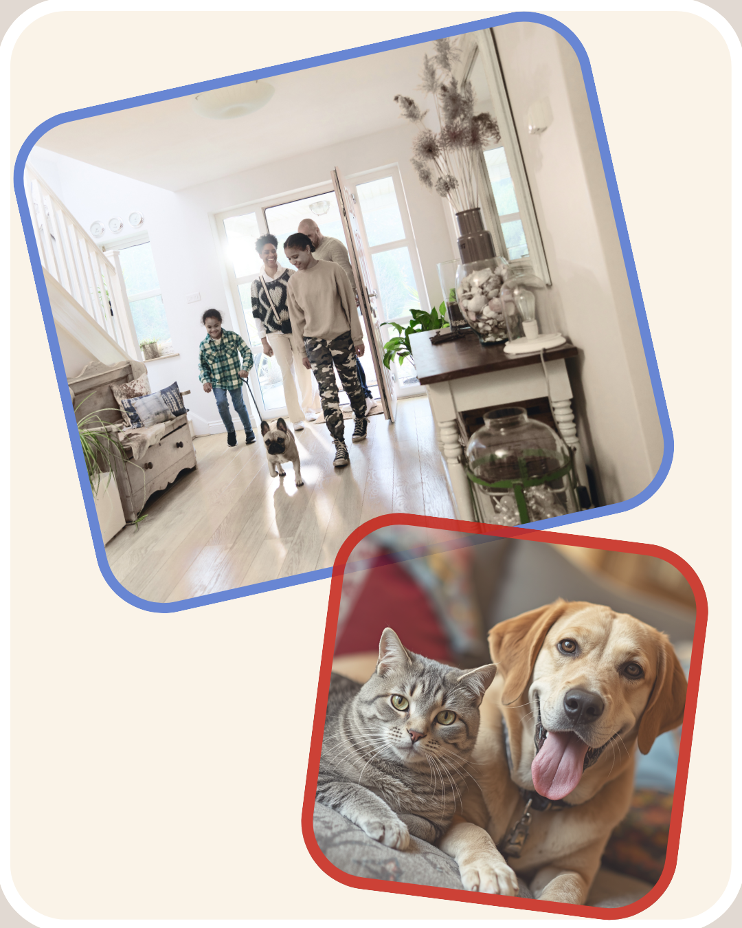 The Vet 2 Go - Mobile Vet & Home Euthanasia in Barnsley | The Vet 2 Go - Barnsley, Royston, Darton, Hoyland, Mapplewell, Ardsley, Penistone, Sheffield, Castleford, Wakefield, Durkar, Ossett, Sandal, Horbury, Normanton, Pontefract, Castleford and more
